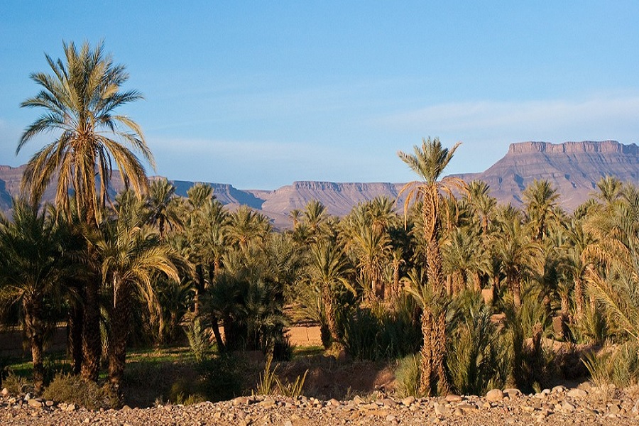 7 días desde Marrakech al desierto de Chegaga