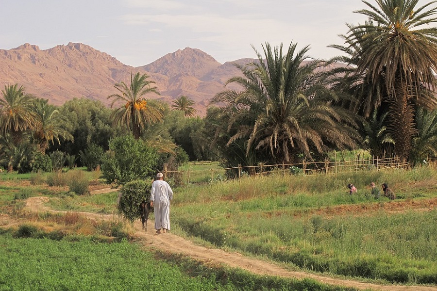 4 días desde Marrakech al desierto y oasis